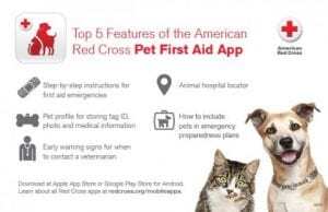Pet-First-Aid-App-Infographic-480x310 Pet-First-Aid-App-Infographic-480x310