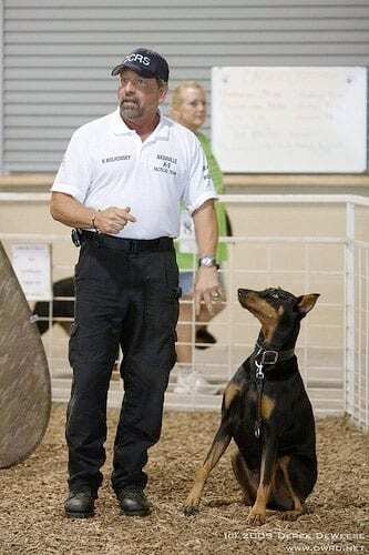 nashville-dog-trainer-nick