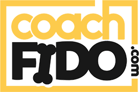 CoachFido-logo CoachFido-logo