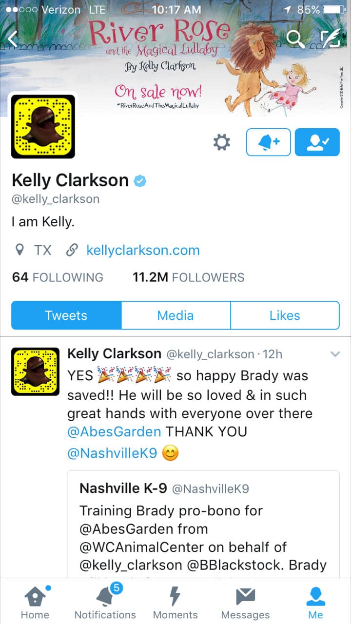 Kelly Clarkson