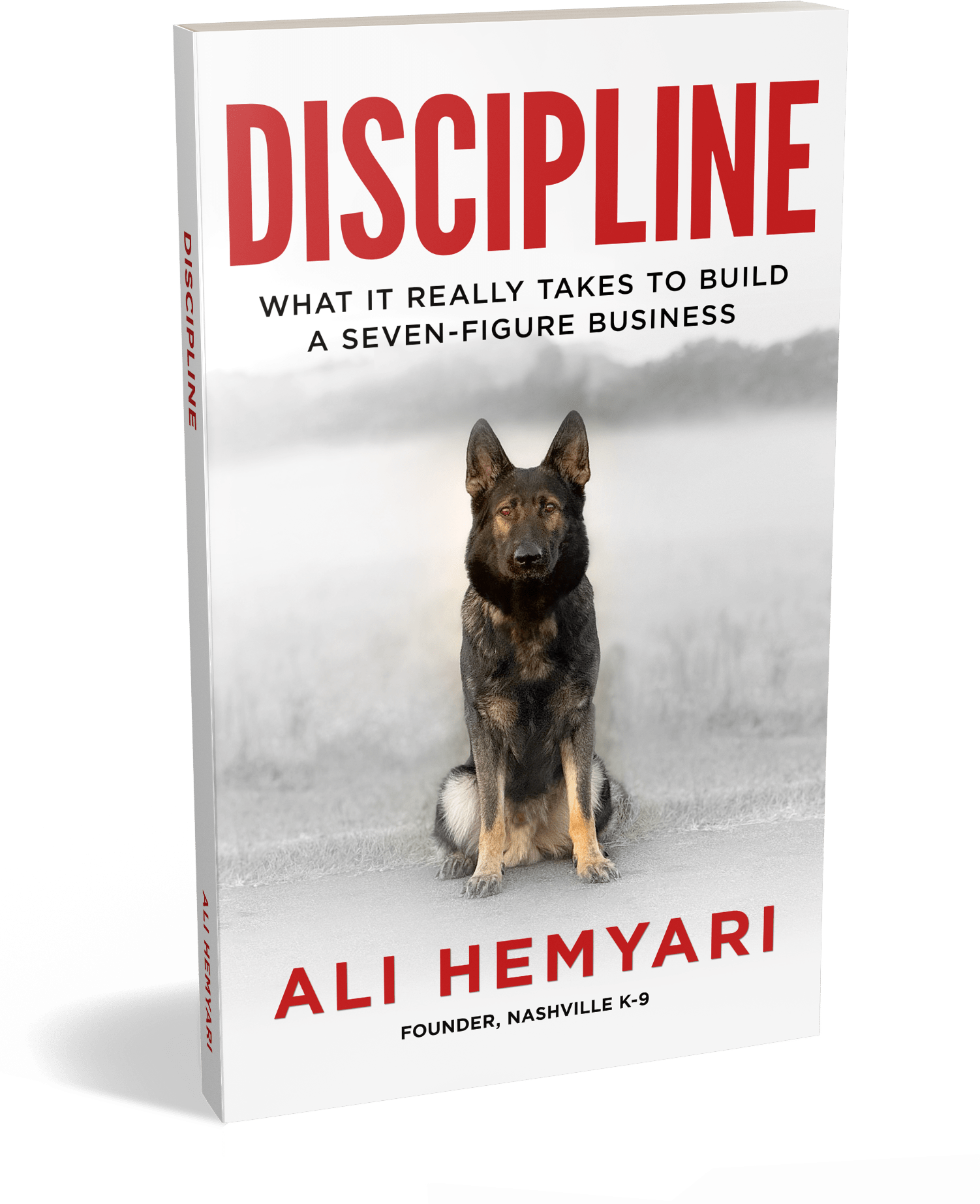 Discipline Book - Ali Hemyari Discipline Book - Ali Hemyari