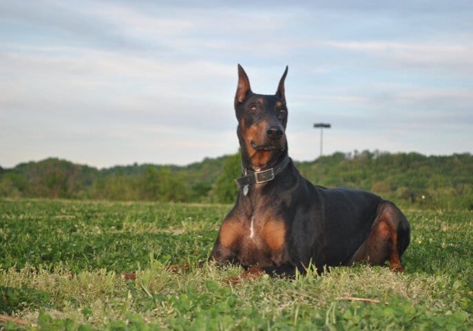 Micah 2005