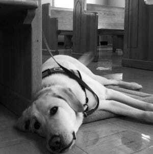 Pavlov, CAC's first service dog, passed away earlier this year.